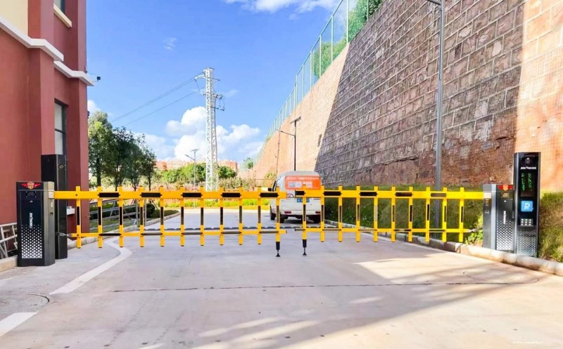 1690170398152016.jpg 9.jpg